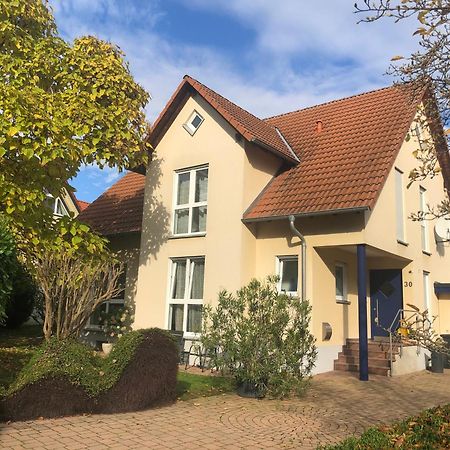 Ferienwohnung Suedpfalz Mit Fernblick Bochingen Εξωτερικό φωτογραφία