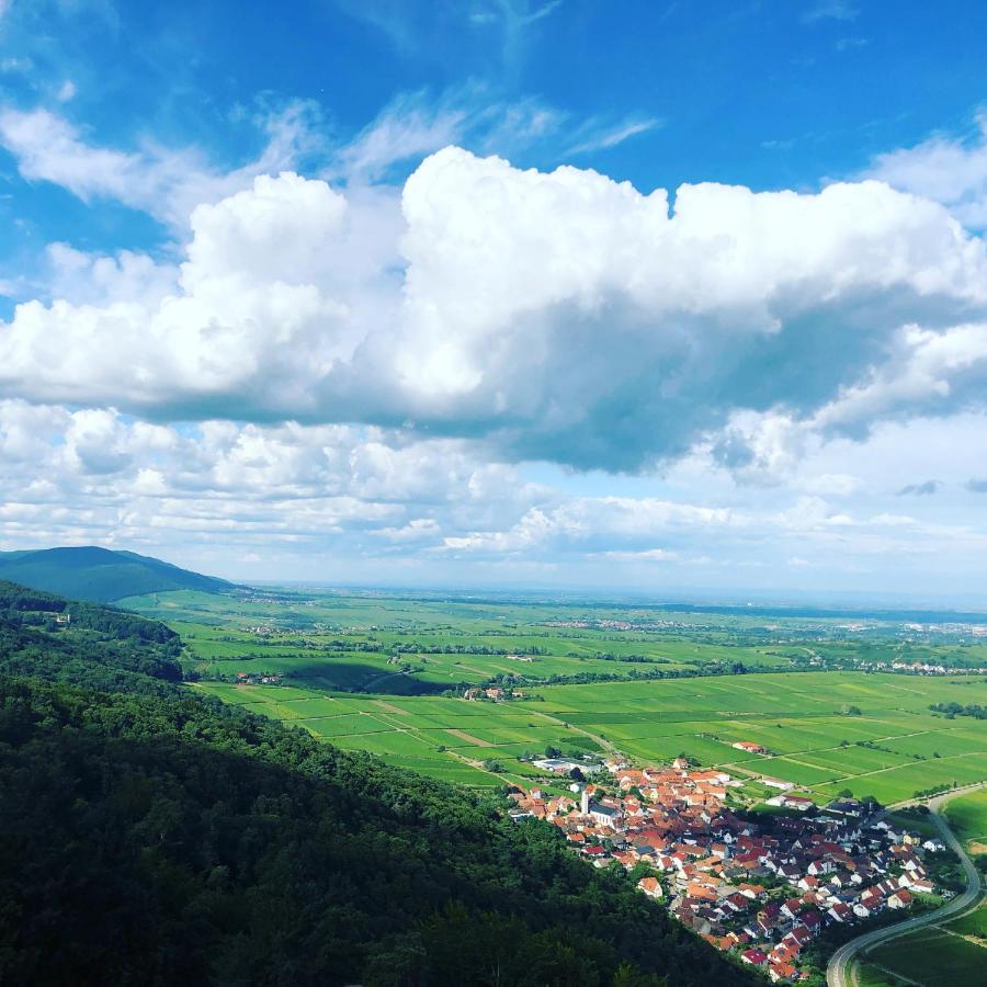 Ferienwohnung Suedpfalz Mit Fernblick Bochingen Εξωτερικό φωτογραφία