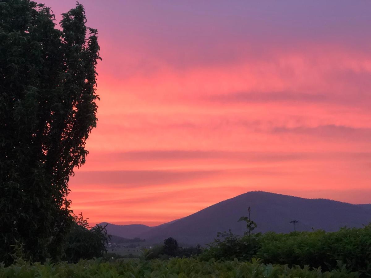Ferienwohnung Suedpfalz Mit Fernblick Bochingen Εξωτερικό φωτογραφία